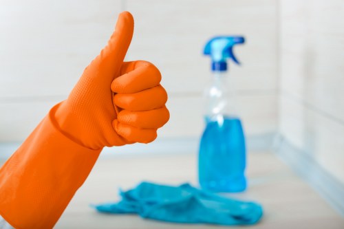 North Kensington carpet cleaners introducing professional local cleaning services