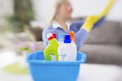 Supplier due diligence and audit process for carpet cleaners