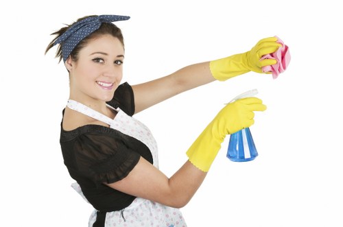 Risk assessment and protection measures before cleaning begins