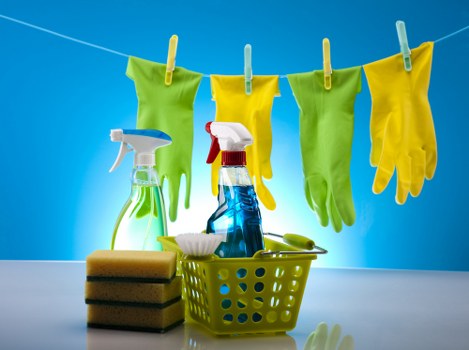 DIY pet stain cleaning risks and odour control in North Kensington
